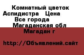 Комнатный цветок Аспидистра › Цена ­ 150 - Все города  »    . Магаданская обл.,Магадан г.